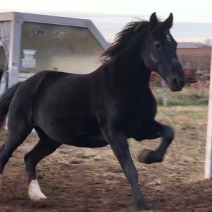 Meet your Posher, Tiffany